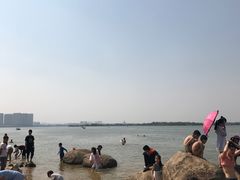 -瑶湖郊野森林公园