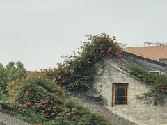 -中国徽菜·徽商故里(罍街店)