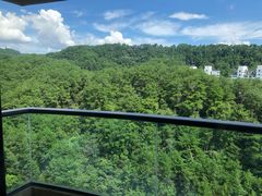 -千岛湖忆湖度假酒店(中心湖景区店)