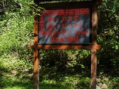 -牛背梁国家森林公园