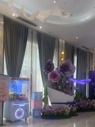 -深圳美莱医疗美容医院