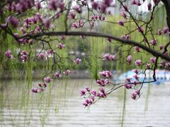 -运河游船(武林门码头)