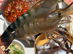 -海底捞大排档火锅(悦荟广场店)