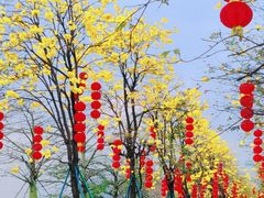 -洲头咀公园