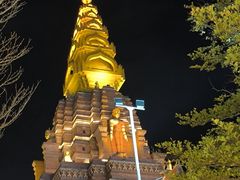 -西双版纳勐泐文化旅游区