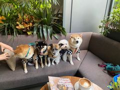 -Moka Bros 摩卡站(嘉华店)