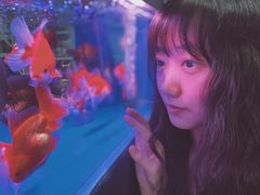 -三旗百汇商品城