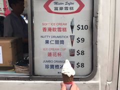 -富豪雪糕车流动点(尖沙咀店)