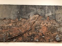 -旧金山现代艺术博物馆