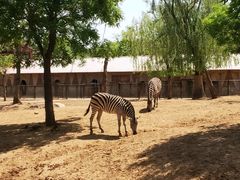 -石家庄市动物园