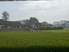 -乌村
