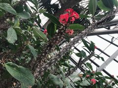 -南山植物园