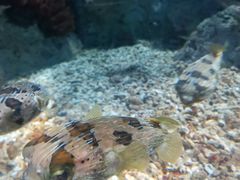 -福州罗源湾海洋世界旅游区