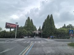 -黄海国家森林公园