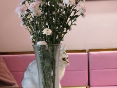 -Sweet cat·星愿猫咖(国贸大厦店)
