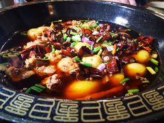 -一只烧鸡公(解放碑店)