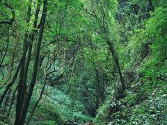 -昆明青龙峡风景区