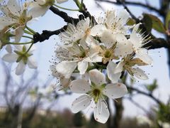 -成都中医药大学(温江校区)