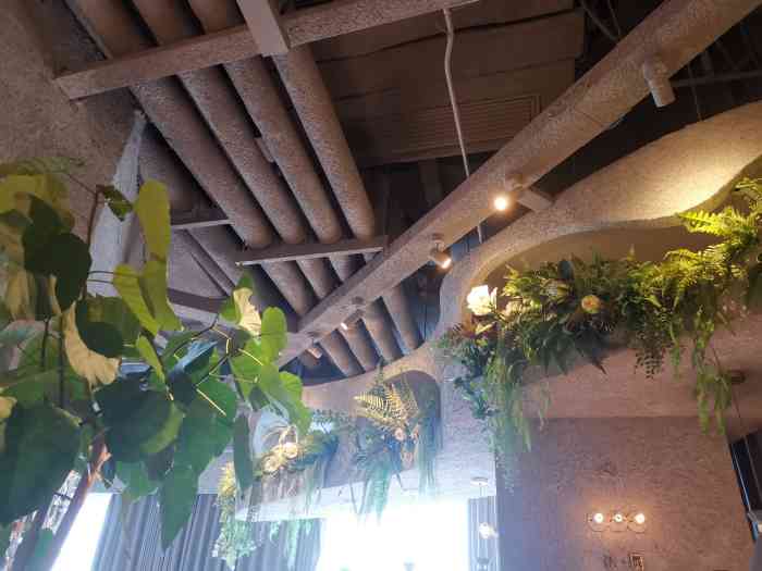 tomacado花厨(王府中环店)-"长草很久的一家网红餐厅,今天圆满拔草这.