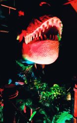 -恐龙探索乐园(磁器口店)