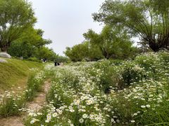 -汉长安城未央宫国家考古遗址公园