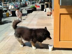 -甜嘟嘟烘焙坊(舒城路店)