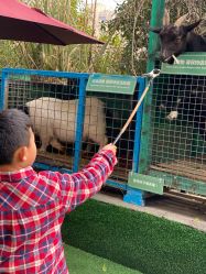 -可可天空农场(中大店)