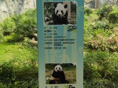 -石排湾郊野公园