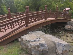 -莲花池公园