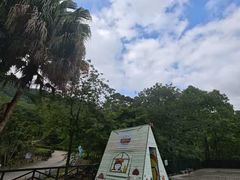 -增城大丰门漂流