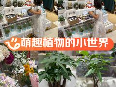 -伊藤洋华堂(温江店)