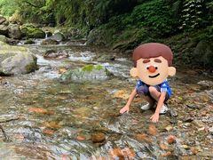 -西岭雪山大飞水景区