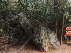 -杭州西湖风景名胜区-三生石