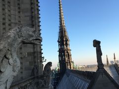 -巴黎圣母院