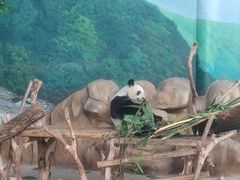 -南宁市动物园