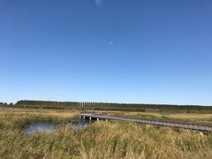 -蒲河岛湿地公园