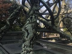 -紫金山天文台