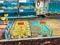 -潮粤香海鲜酒楼(沙湖店)