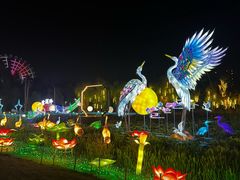 -洋湖国家湿地公园
