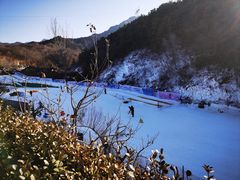 -欢乐松鼠谷