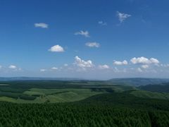 -塞罕坝国家级自然保护区