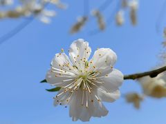 -永定河休闲森林公园