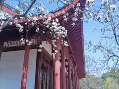 -堤角公园