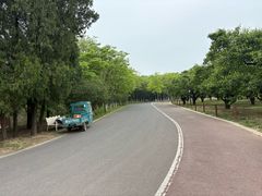 -江苏三台山国家森林公园