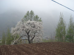 景点-山西壶关太行山大峡谷旅游景区
