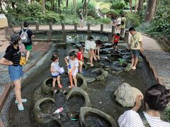 -成都市活水公园