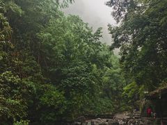 -华蓥山天意谷景区