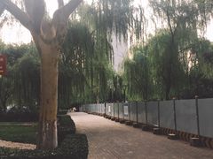 -西安交通大学(雁塔校区)