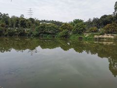 -溪悦渔庄(九龙湖店)