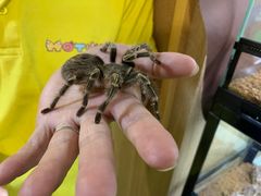 -藦茜花园宠物主题亲子互动体验馆(国顺东路店)